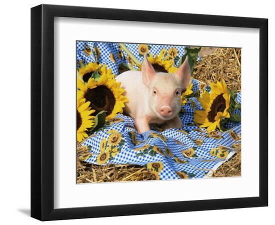 Premium Photographic Print, , large