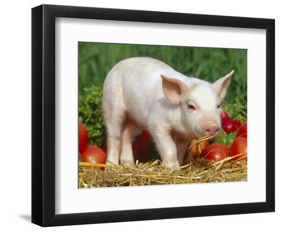 Premium Photographic Print, , large