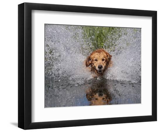 Photographic Print, , large