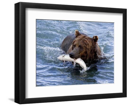 Premium Photographic Print, , large