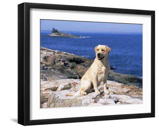 Photographic Print, , large