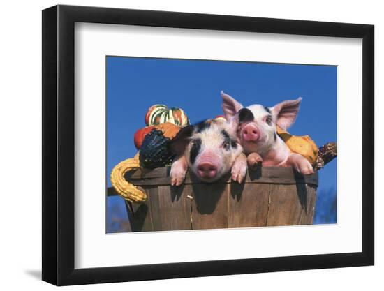 Premium Photographic Print, , large