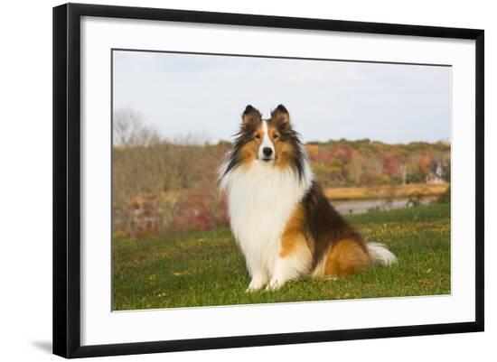 Photographic Print, , large