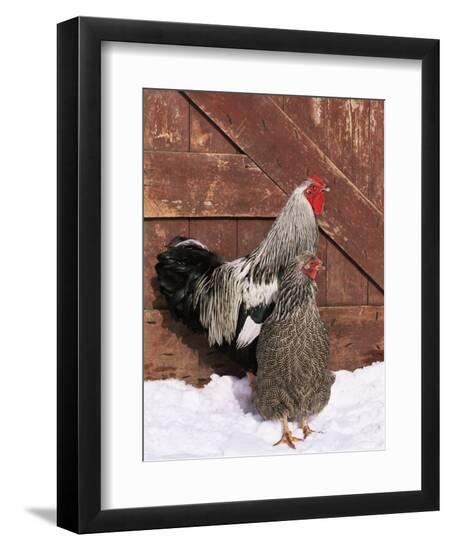Premium Photographic Print, , large
