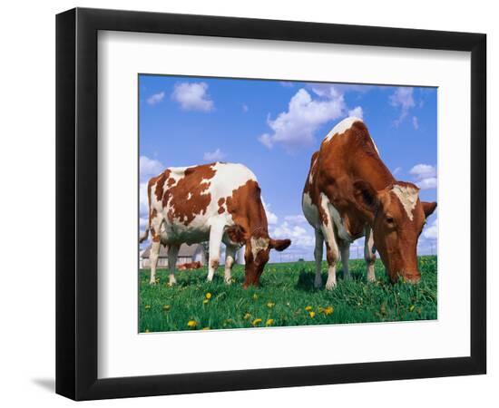 Premium Photographic Print, , large