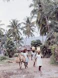 Group of Haitian Woman and a Donkey Walking Down a Dirt Road-Lynn Pelham-Photographic Print