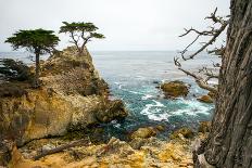 Rocky Cliff and Trees in Carmel near Pebble Beach. Carmel, California, Usa.-Lynn Y-Framed Stretched Canvas