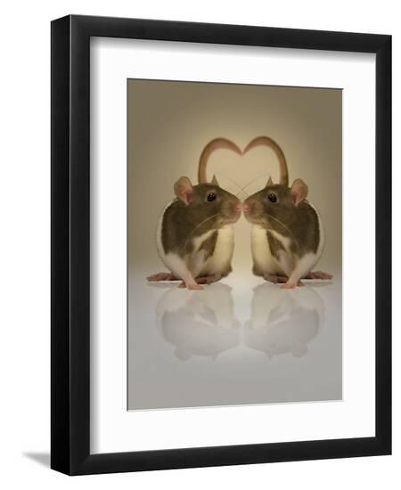 Premium Photographic Print, , large