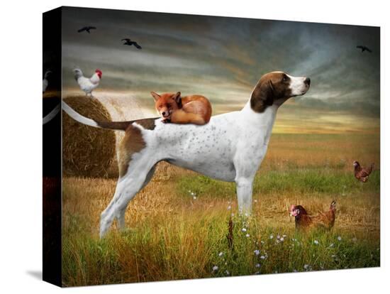 Stretched Canvas Print, , large