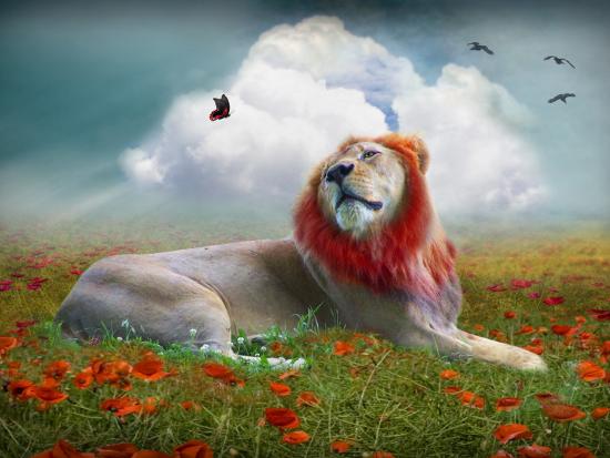 Photographic Print, , large