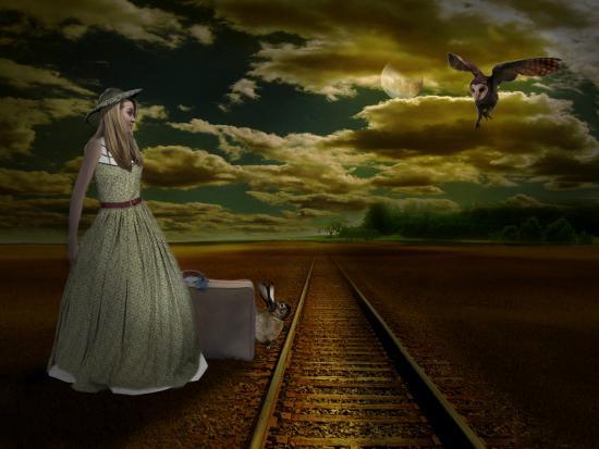 Photographic Print, , large