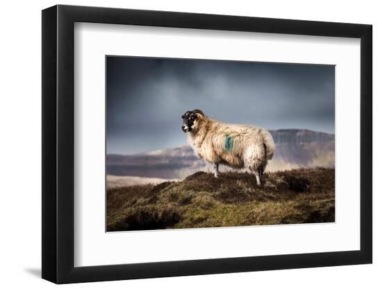 Photographic Print, , large