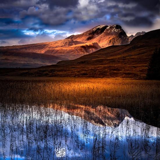 Photographic Print, , large