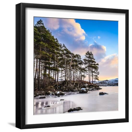 Premium Photographic Print, , large