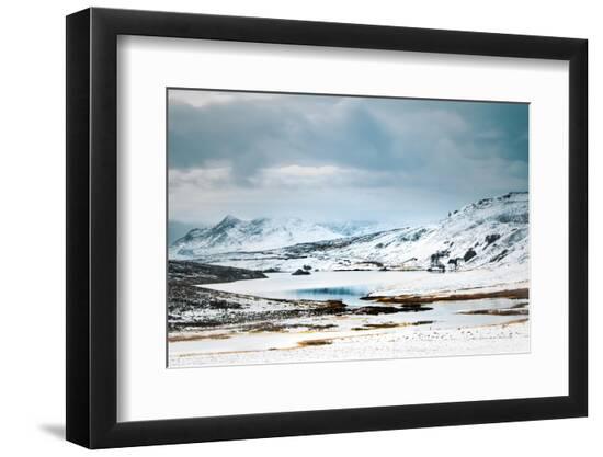 Premium Photographic Print, , large