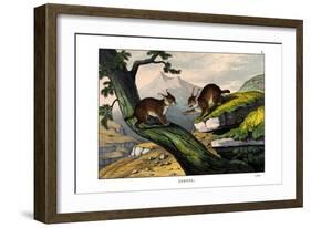 Lynx, 1860-null-Framed Giclee Print