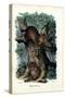 Lynx, 1863-79-Raimundo Petraroja-Stretched Canvas