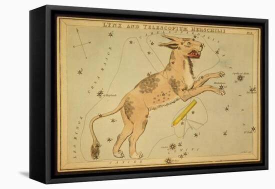 Lynx and Telescopium Herschelii, 1825-Science Source-Framed Stretched Canvas