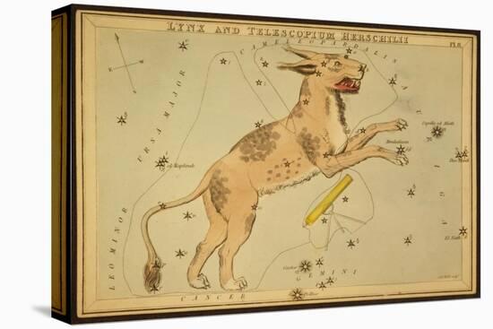 Lynx and Telescopium Herschelii, 1825-Science Source-Stretched Canvas