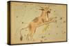 Lynx and Telescopium Herschelii, 1825-Science Source-Stretched Canvas