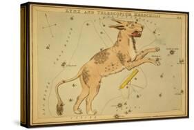 Lynx and Telescopium Herschelii, 1825-Science Source-Stretched Canvas
