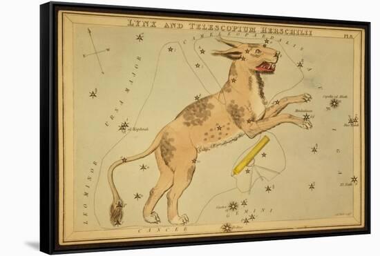 Lynx and Telescopium Herschelii, 1825-Science Source-Framed Stretched Canvas