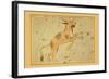 Lynx and Telescopium Herschilii-Aspin Jehosaphat-Framed Art Print