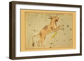 Lynx and Telescopium Herschilii-Aspin Jehosaphat-Framed Art Print