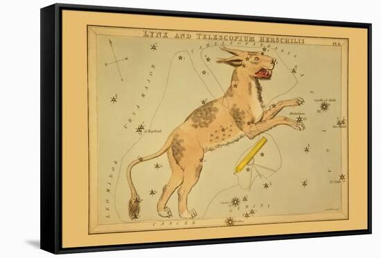 Lynx and Telescopium Herschilii-Aspin Jehosaphat-Framed Stretched Canvas