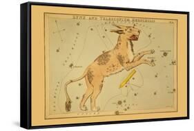 Lynx and Telescopium Herschilii-Aspin Jehosaphat-Framed Stretched Canvas