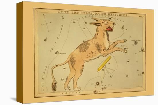 Lynx and Telescopium Herschilii-Aspin Jehosaphat-Stretched Canvas