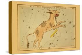 Lynx and Telescopium Herschilii-Aspin Jehosaphat-Stretched Canvas