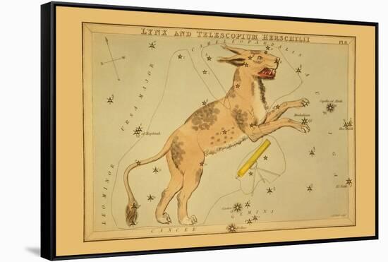 Lynx and Telescopium Herschilii-Aspin Jehosaphat-Framed Stretched Canvas