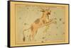 Lynx and Telescopium Herschilii-Aspin Jehosaphat-Framed Stretched Canvas