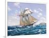 Lynx U.S. Privateer-Roy Cross-Framed Art Print