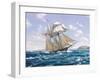 Lynx U.S. Privateer-Roy Cross-Framed Art Print