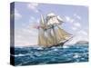 Lynx U.S. Privateer-Roy Cross-Stretched Canvas