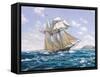 Lynx U.S. Privateer-Roy Cross-Framed Stretched Canvas