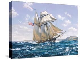 Lynx U.S. Privateer-Roy Cross-Stretched Canvas