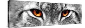 Lynx-PhotoINC-Stretched Canvas