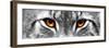 Lynx-PhotoINC-Framed Premium Photographic Print