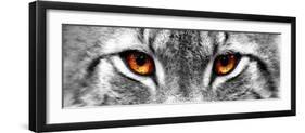 Lynx-PhotoINC-Framed Premium Photographic Print