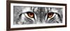 Lynx-PhotoINC-Framed Photographic Print