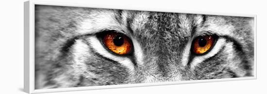 Lynx-PhotoINC-Framed Photographic Print