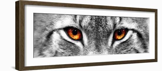 Lynx-PhotoINC-Framed Photographic Print