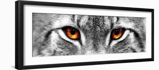 Lynx-PhotoINC-Framed Photographic Print