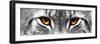 Lynx-PhotoINC-Framed Photographic Print