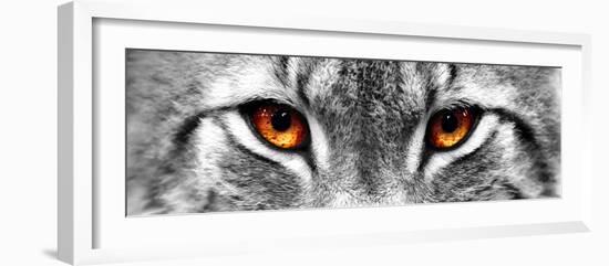 Lynx-PhotoINC-Framed Photographic Print