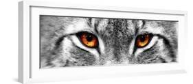 Lynx-PhotoINC-Framed Photographic Print