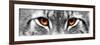 Lynx-PhotoINC-Framed Photographic Print